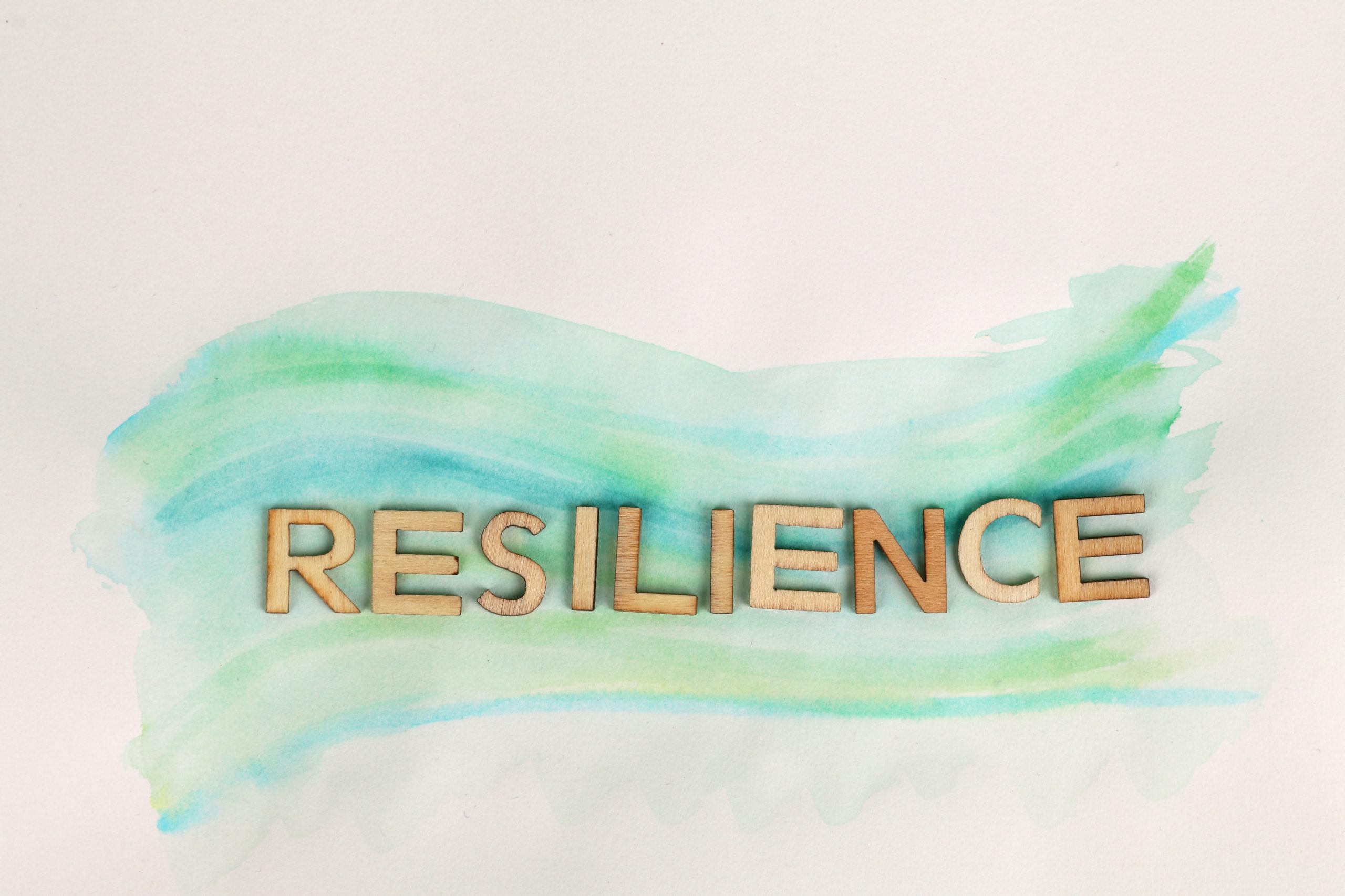 Resilience